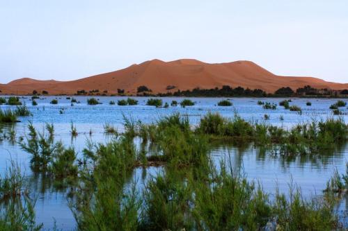 Albergue Auberge De Charme Les Dunes D�or