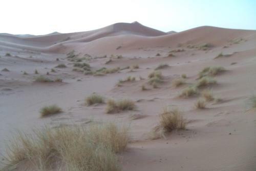 Bed & Breakfast Kasbah Tamariste
