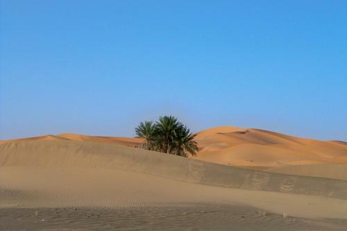 Bed & Breakfast Kasbah Tamariste