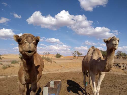 Hostal Planet Sahara