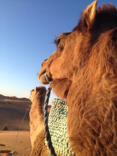 Hostal Planet Sahara