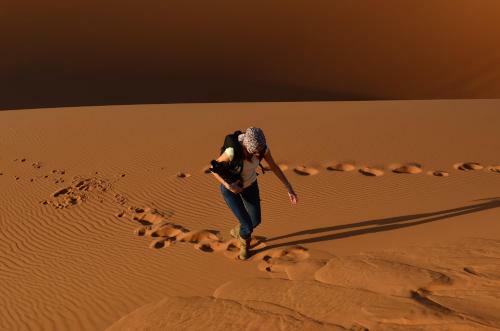 Hotel Kasbah H�tel Erg Chebbi