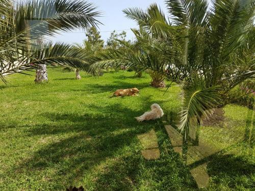 Hostal Maison D'h�tes, Spa Et Yoga Villa Oc�ane