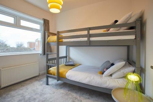 Willow View