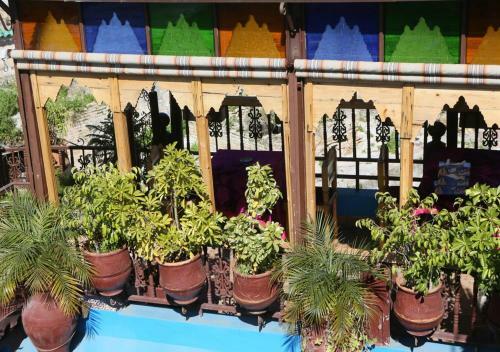 Riad Hiba