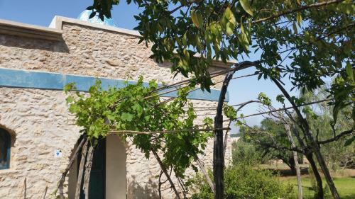 Bed & Breakfast Douar Noujoum