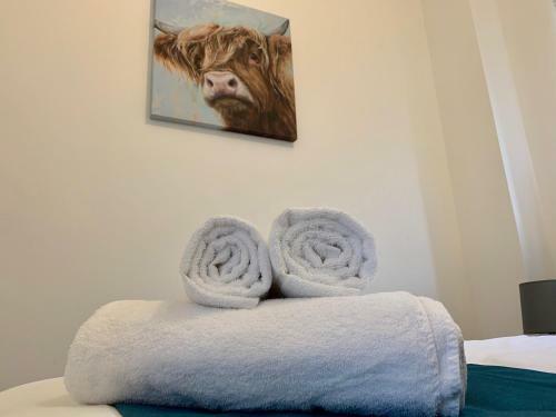 Lower Highview - Self Catering Apartment, Fpventures Stroud