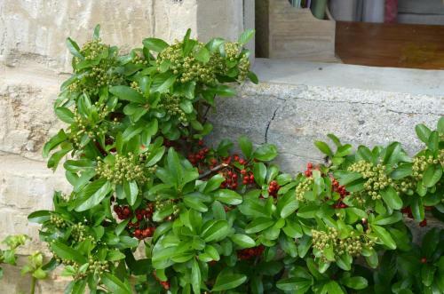 Traditional Cotswold Stone Peaceful Cottage With Stunning Views
