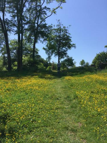 Wynberg House A Bed & Breakfast