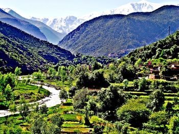 Bed & Breakfast Top Ourika