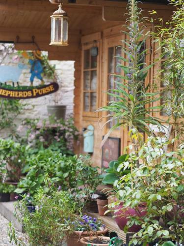 Hostal The Shepherd's Purse