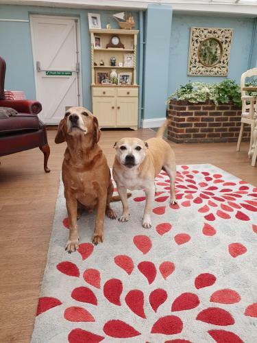 Marley House Bed And Breakfast