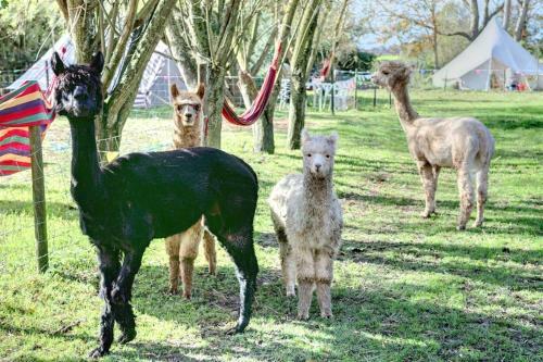 Agroturismo Willow Barn