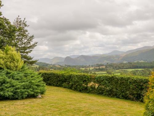 Ty'n Y Coed