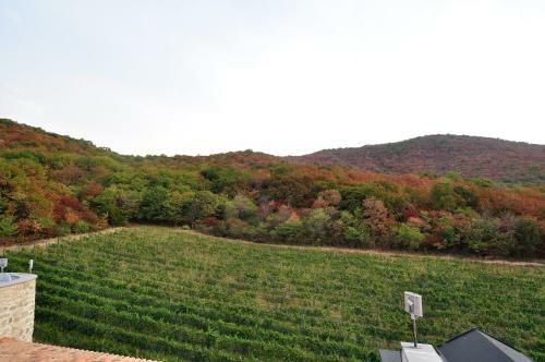 Hotel Babaneuris Marani