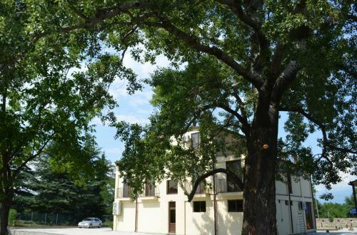 Hotel Kisi Garden