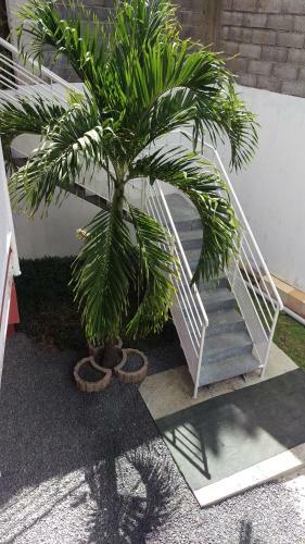 Apartamento Residence Cattanies