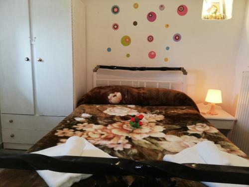 Lorentzia House 2 !