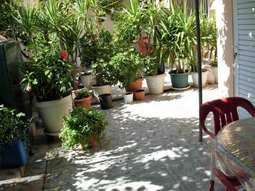 Hostal Vivian Villa