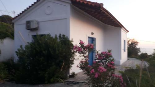 Muses Sea View Bungalow
