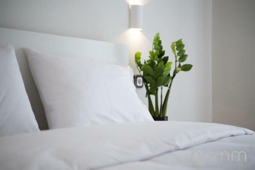 Apartamento 57m� Homm Fancy Koukaki Lodge