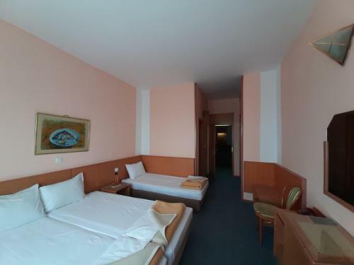Hotel Molika
