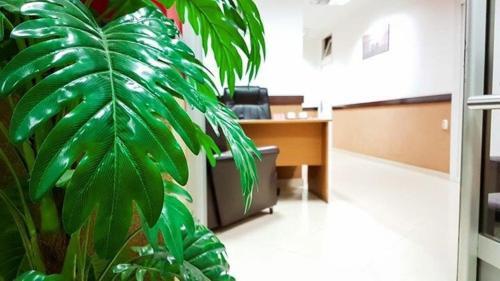 Venecia Apartments