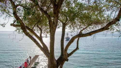 Villa Benele , Corfu