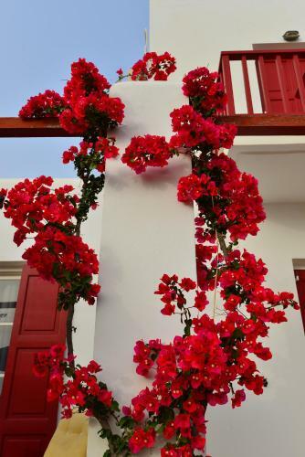 Apartamento Seagull Rooms