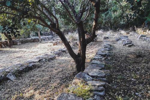 Lemon Tree Eco-retreat