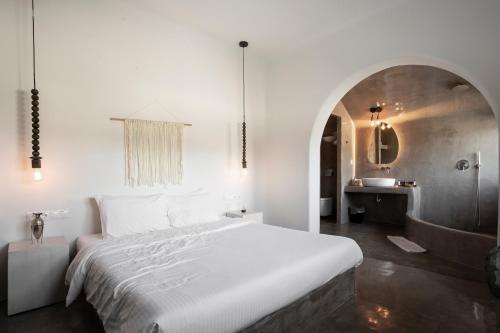 Villa Beltramo Santorini 2 Bedroom Private Pool Villa