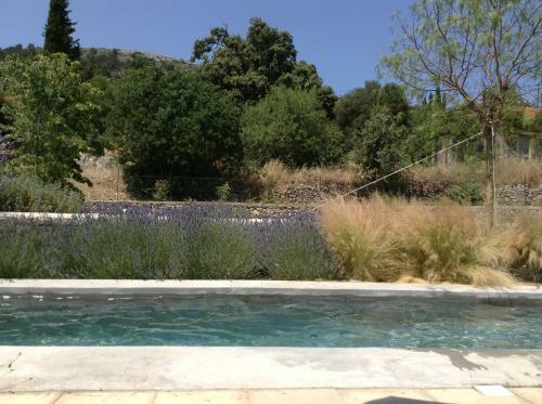 Villa Lavender Hideaway