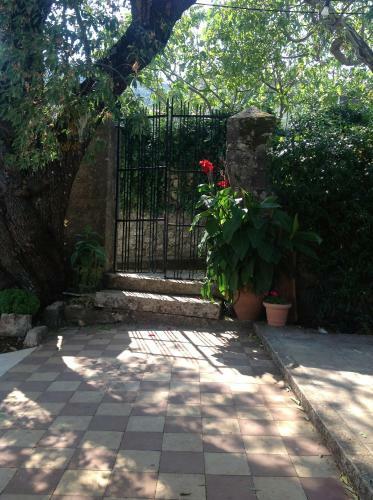 Villa Lavender Hideaway