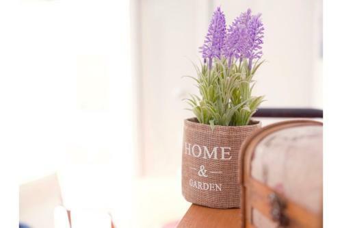 Apartment Sofi