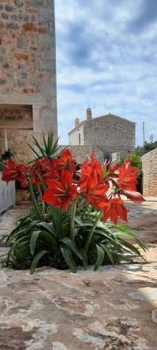 Hotel Koukouri Village