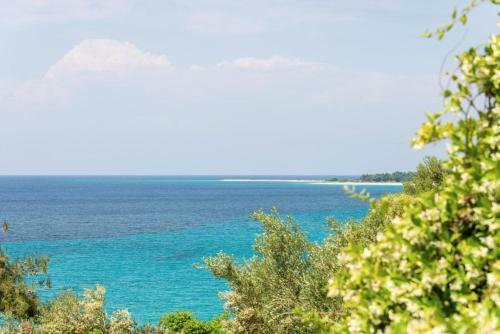 Beachfront Villa Posidi
