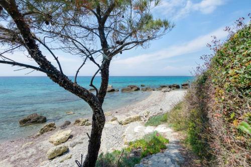 Beachfront Villa Posidi