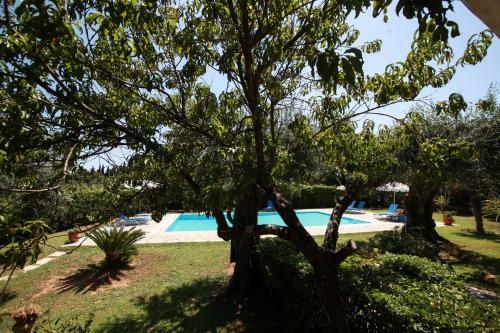 Apartamento Aristea Studios
