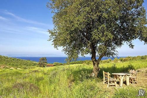 Kastro Villa Sleeps 18 With Pool And Air Con