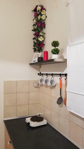 Apartamento Elisavet Apts