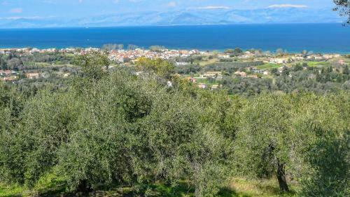 Apartamento Elisavet Apts