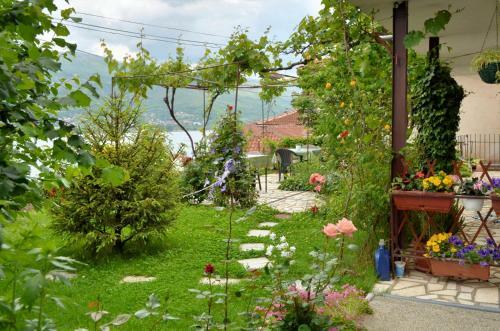 Bed & Breakfast Villa Saraj