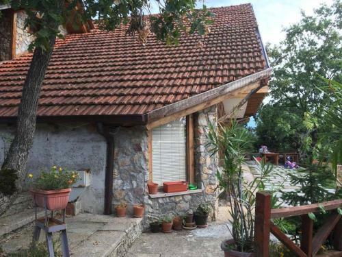 Hostal Robinson Sunset Guest House