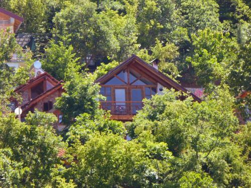 Hostal Robinson Sunset Guest House