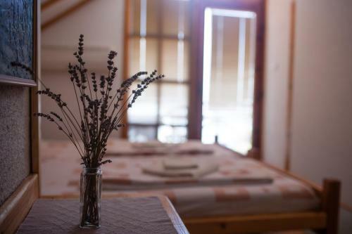 Hostal Robinson Sunset Guest House