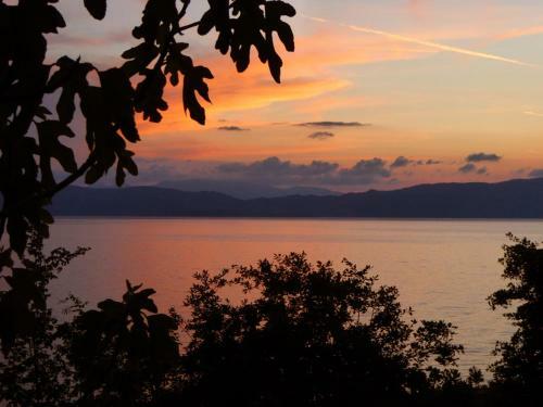 Hostal Robinson Sunset Guest House