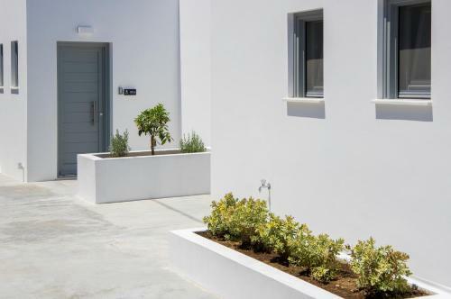 Hotel Oro Suites