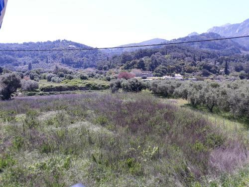 Apartamento Theodora Studios