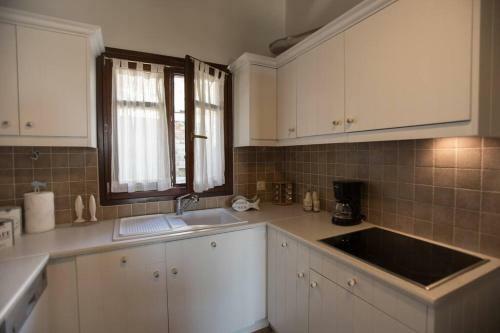 2ag252-house With A Pool In Andros