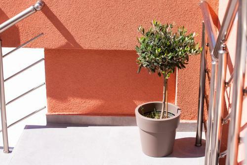 Hotel Acron Suites